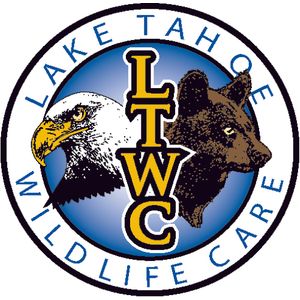 Logo for Lake Tahoe Wildlife Care