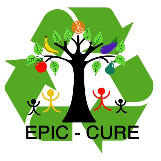 Logo for Epic-Cure