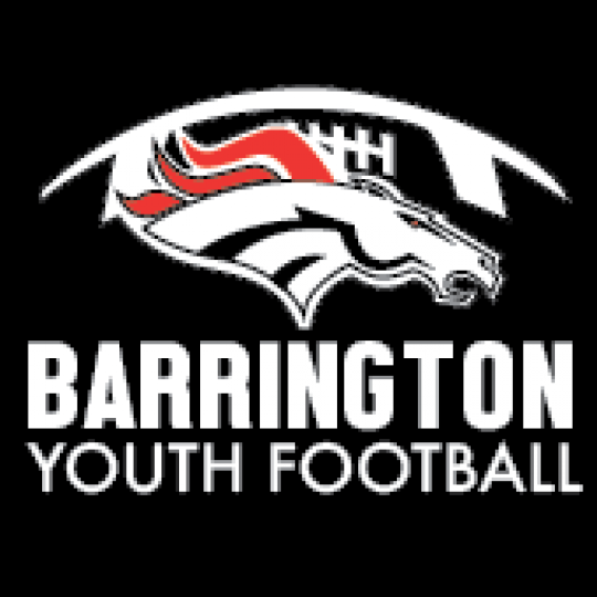 Logo for Barrington Youth Football