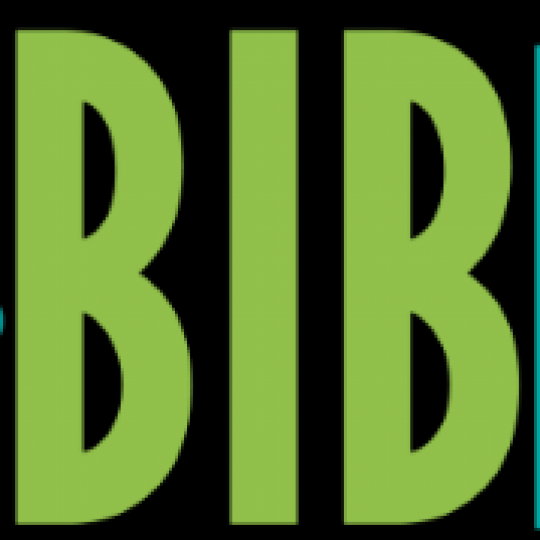 Logo for Babies in Baytown