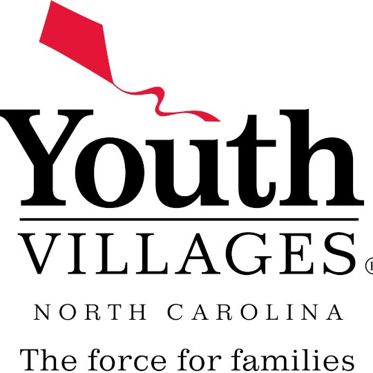 Logo for Youth Villages