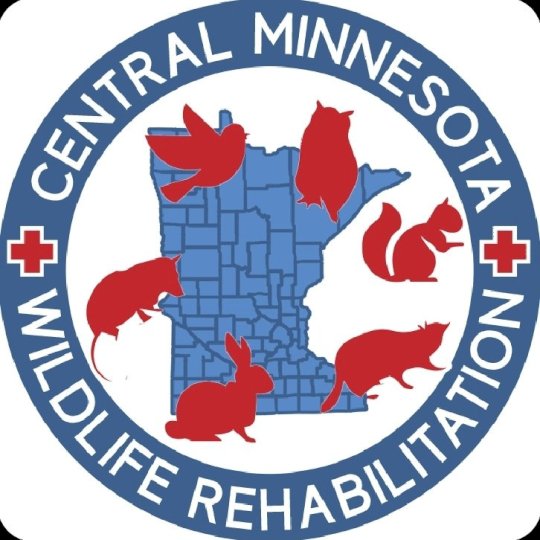 Logo for Central Minnesota Wildlife Rehabilitation
