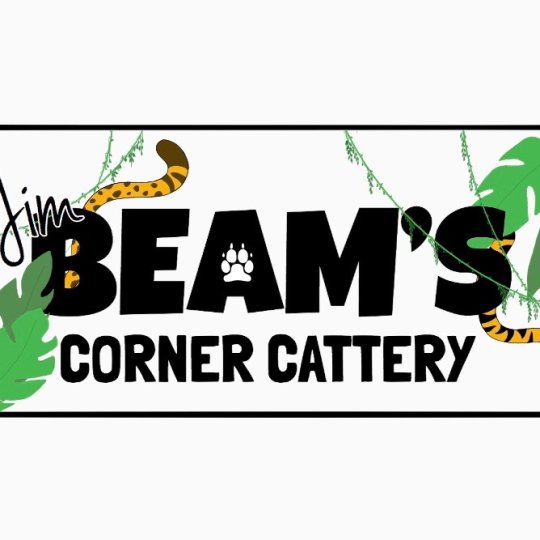 Logo for Jim Beam’s Corner Cattery