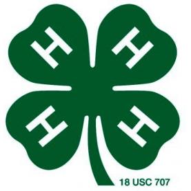 Logo for Mahaska County 4-H Youth Development