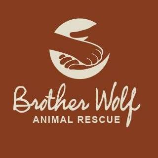 Logo for Brother Wolf Animal Rescue