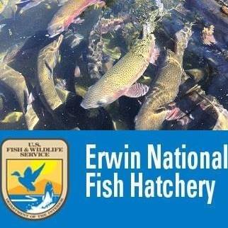 Logo for United States Fish and Wildlife Service – Erwin National Fish Hatchery