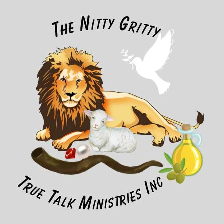 Logo for The Nitty-Gritty True Talk Ministries, Inc.