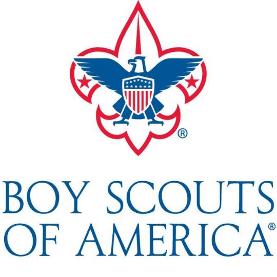 Logo for Twin Valley Council Boy Scouts of America
