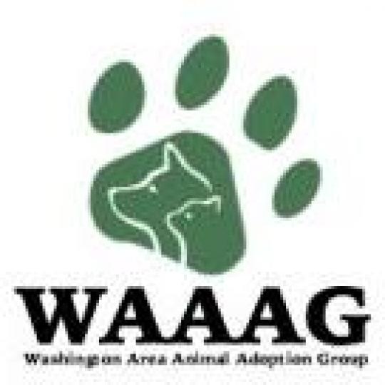Logo for Washington Area Animal Adoption Group (WAAAG)