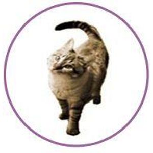 Logo for Poppy Foundation