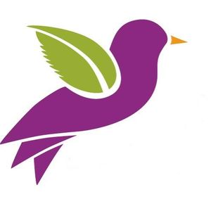 Logo for The Nature Connection