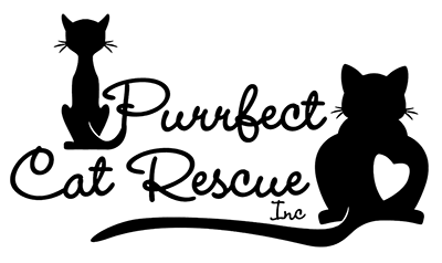 Logo for Purrfect Cat Rescue