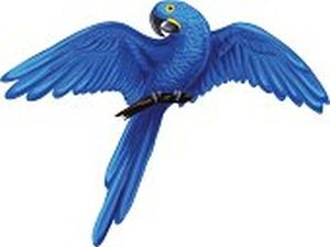 Logo for Second Chance Bird Rescue (SCBR), West Coast Division