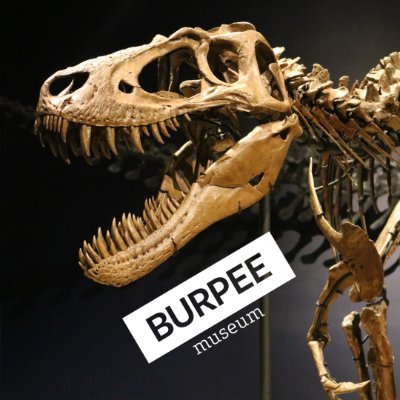 Logo for Burpee Museum of Natural History