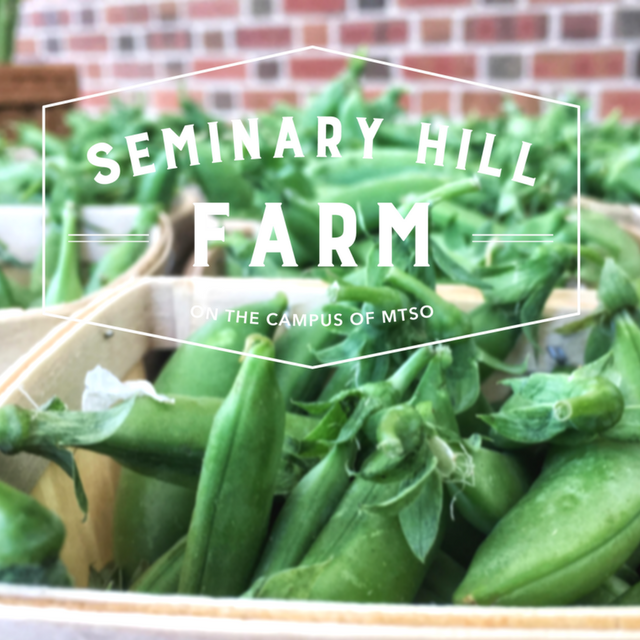 Logo for Methodist Theological School in Ohio- Seminary Hill Farm