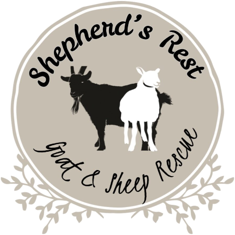 Logo for Shepherd’s Rest Goat and Sheep Rescue
