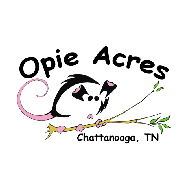 Logo for Opie Acres Opossum and Wildlife Rehab Inc.