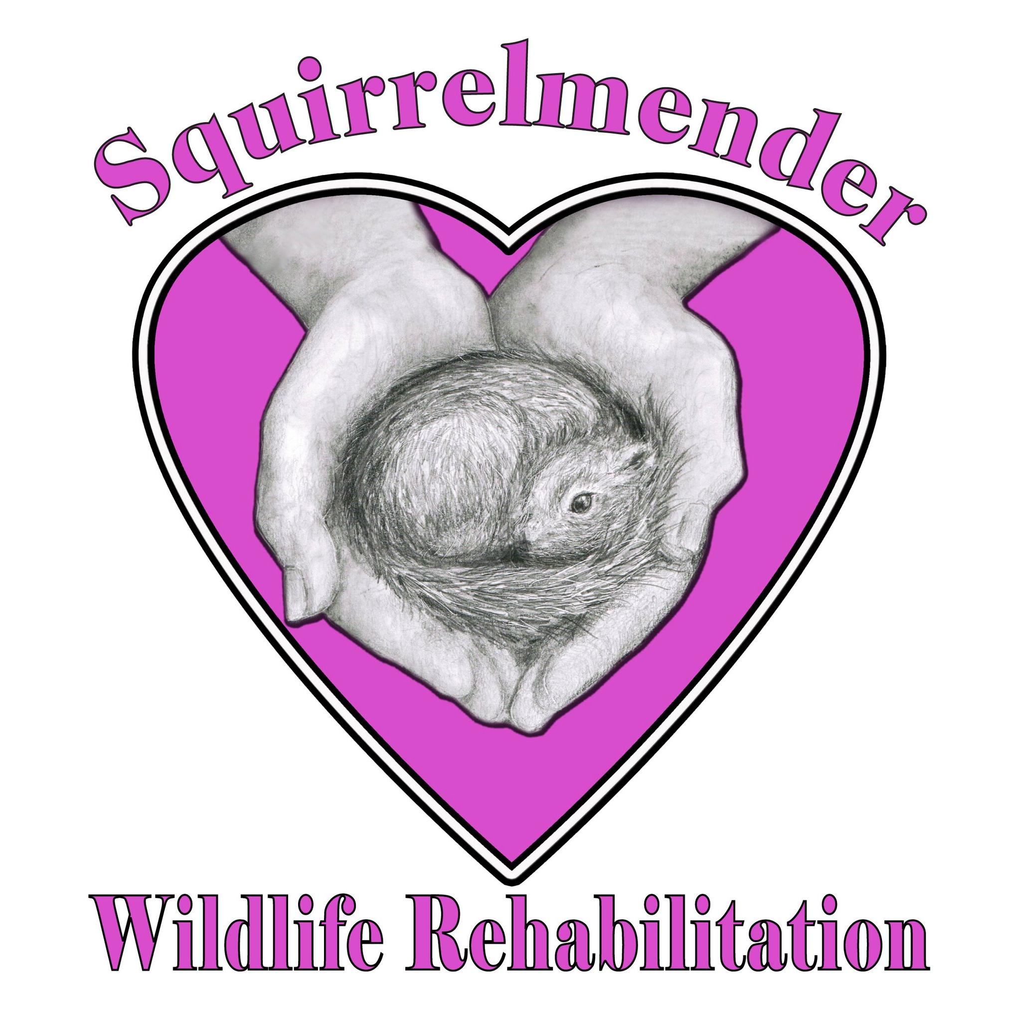 Logo for Squirrelmender Wildlife Rehabilitation