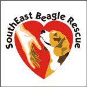 Logo for SouthEast Beagle Rescue