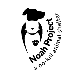 Logo for Noah Project