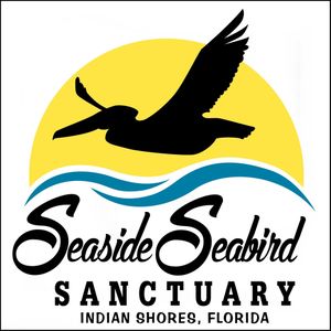 Logo for Seaside Seabird Sanctuary